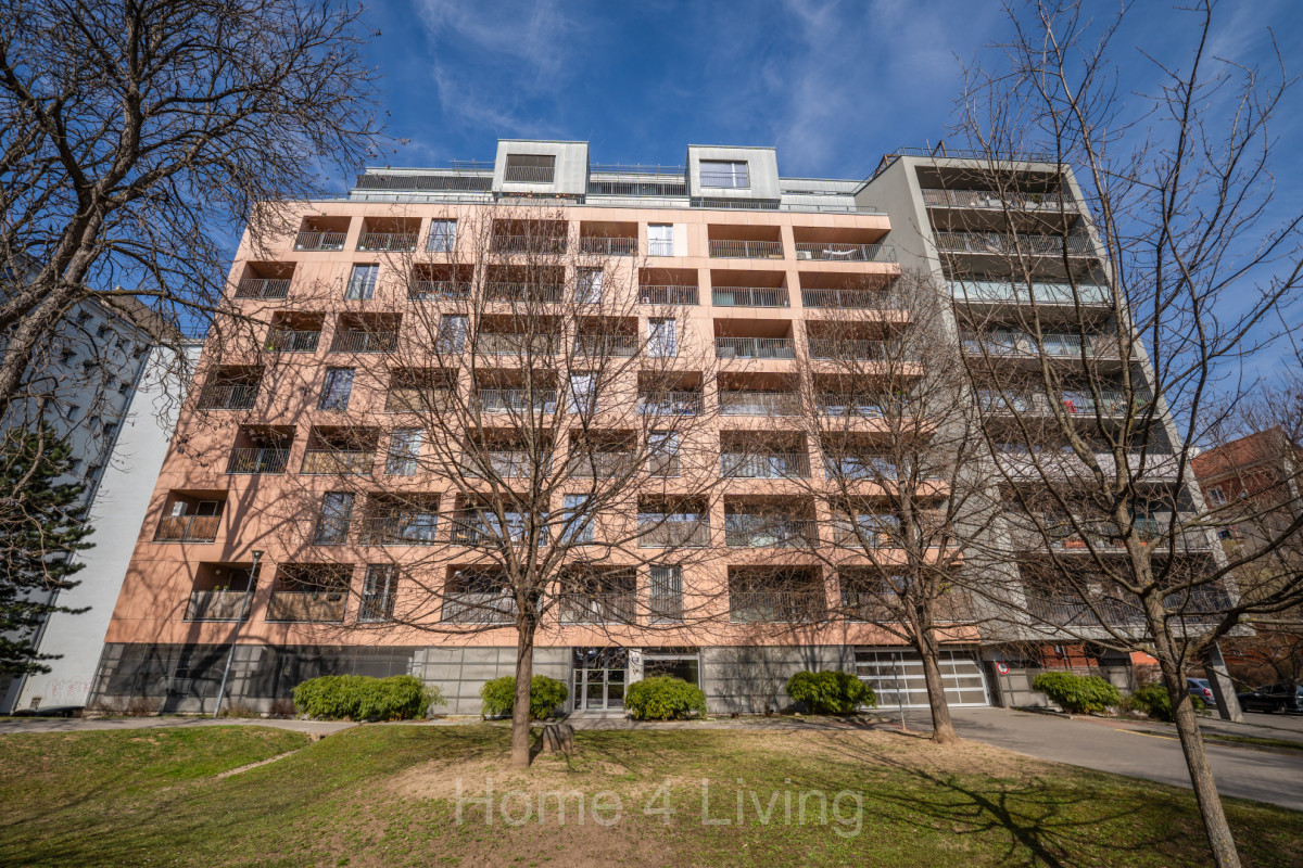 Vyjímečná nabídka v Brně