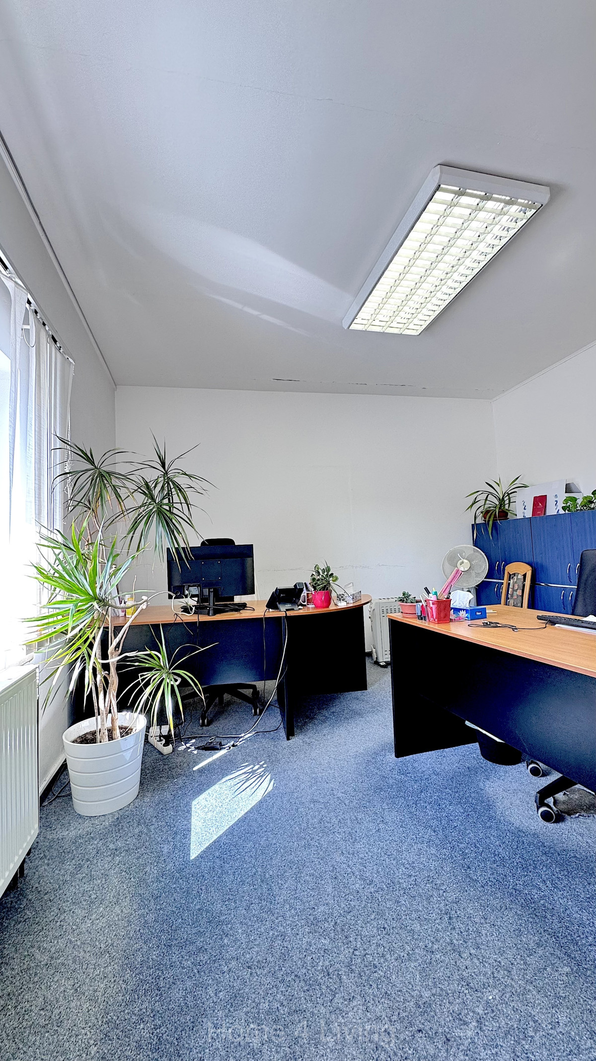 Pronájem kanceláří 150 m2 